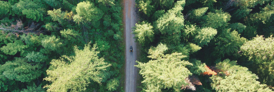 Riding Solo in Montana forest