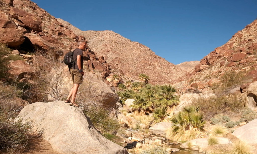 Hiking Anza Borrego Palm Canyon Borrego Springs California