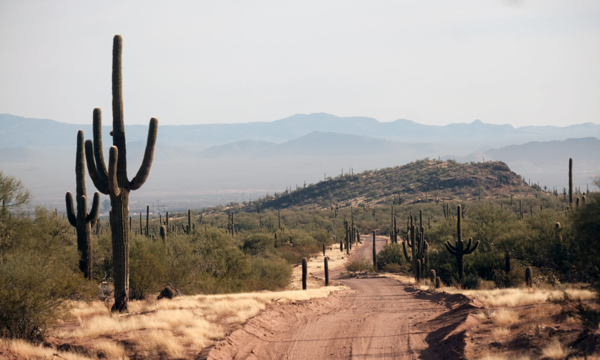 Ironwood Forest road in Arizona