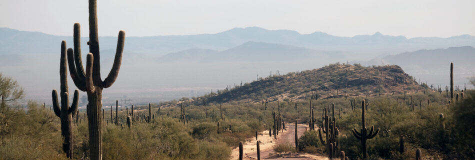 Ironwood Forest road in Arizona