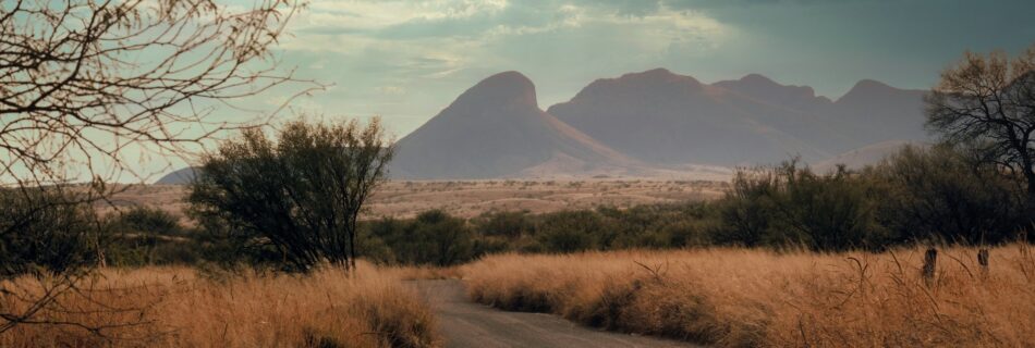 Las Cienegas Arizona