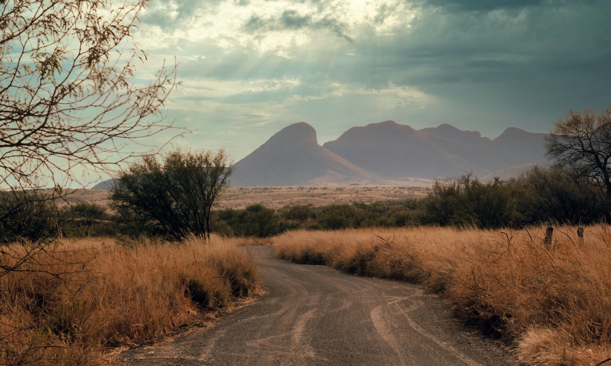 Las Cienegas National Conservation Area