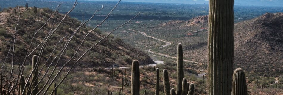 Reddington Road near Tucson, Arizona