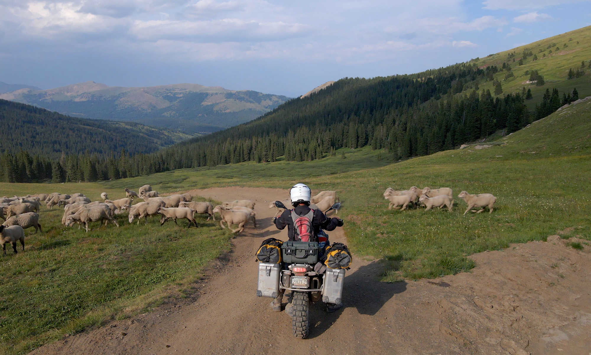 Motorcycle on top of Ptarmigan Pass Colorado with sheep