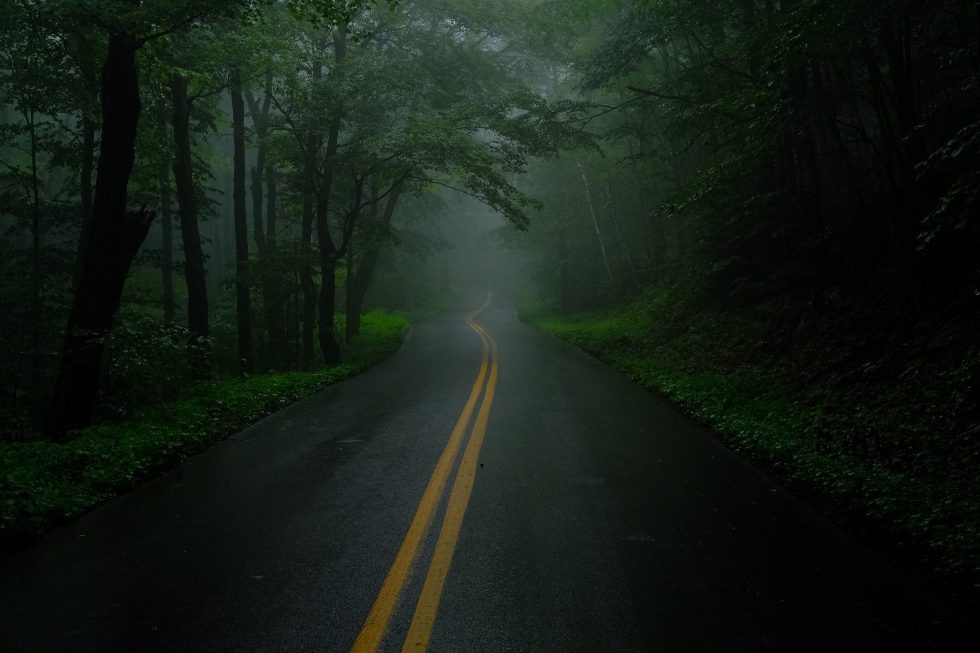 Misty road in Vermont
