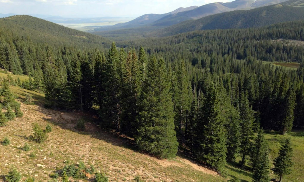 Georgia Pass Colorado landscape view from summit