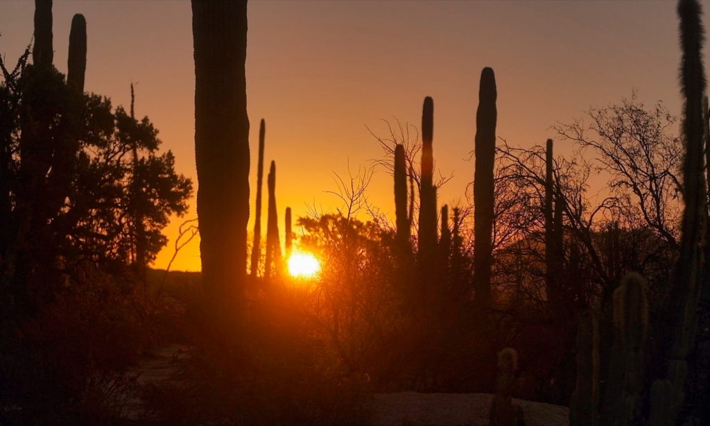 Desert sunset in Cataviña Baja California