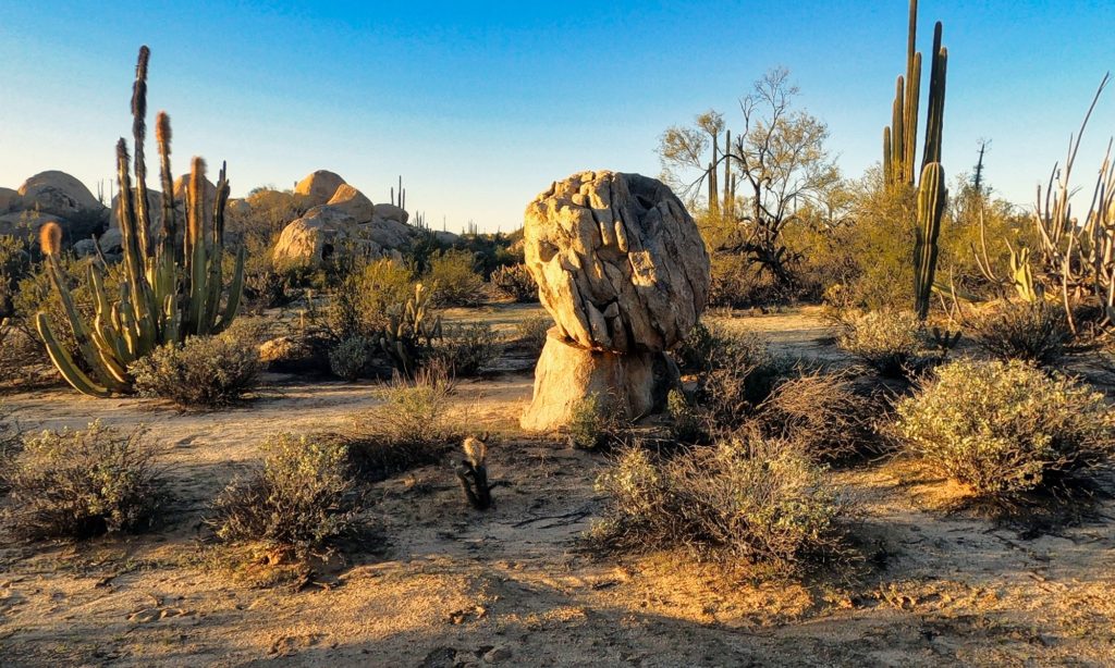 Desert rocks near Cataviña in Baja California