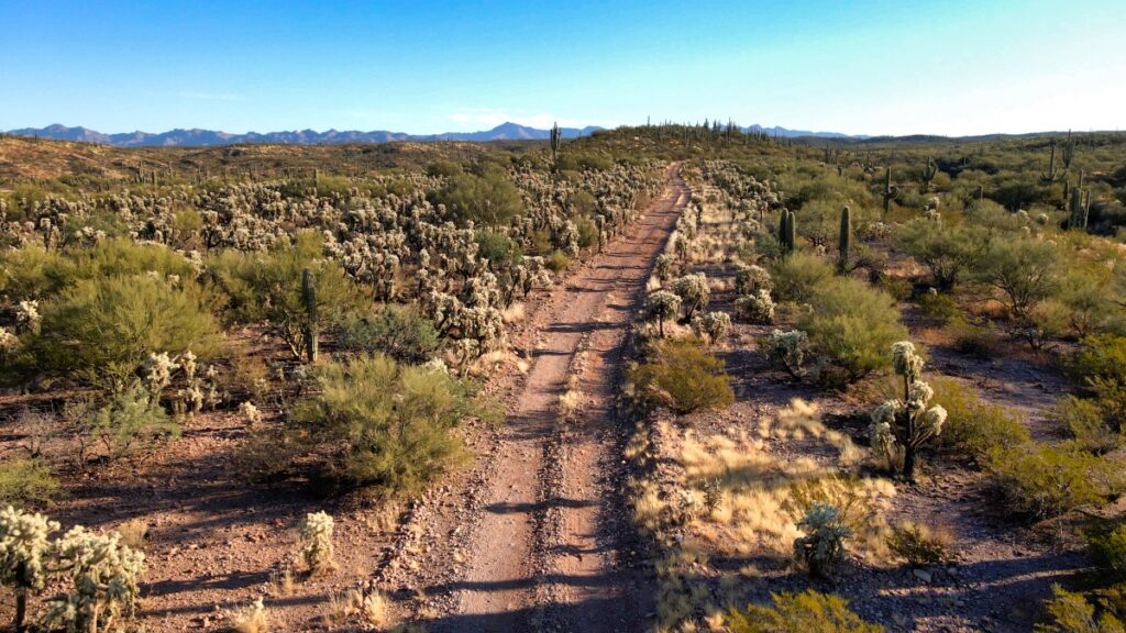 Desert two track dirt road in Arizona