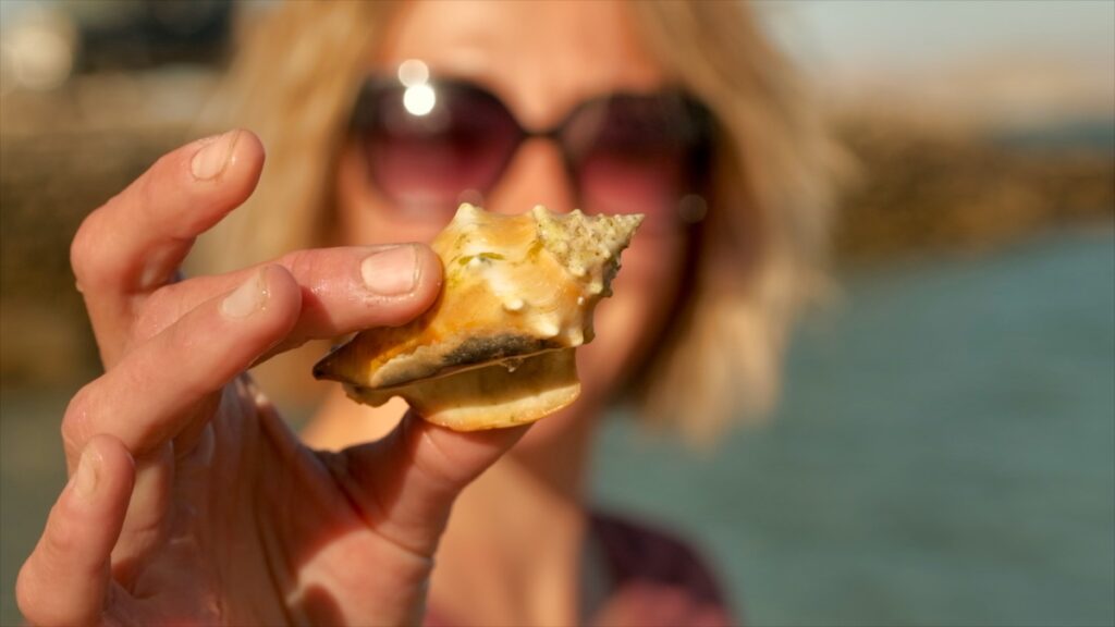 Eva Rupert with seashell in Bahía de los Ángeles Baja California