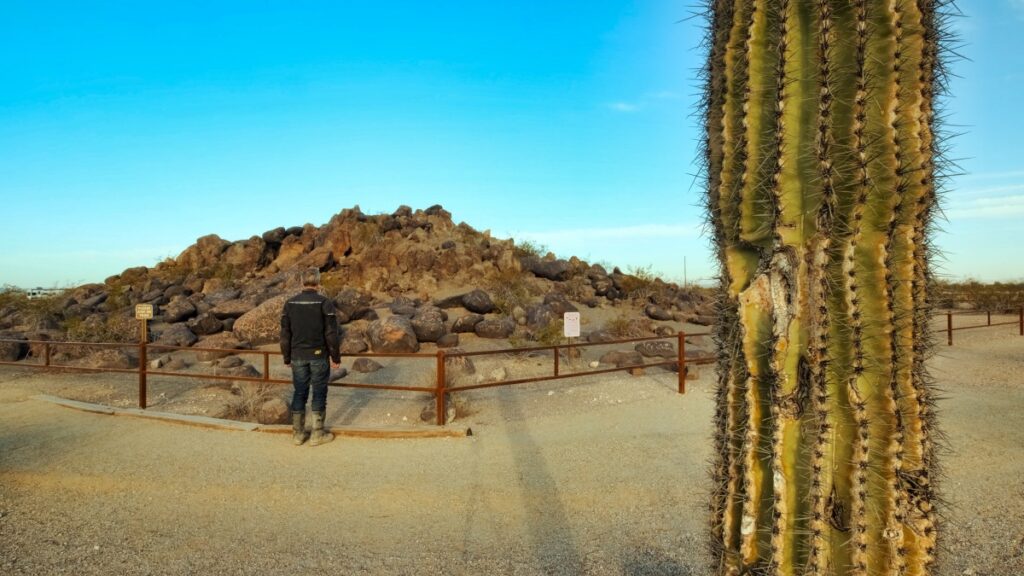 Sterling Noren looking at petroglyphs at Petroglyphs on rocks at Painted Rock Petroglyph Campground