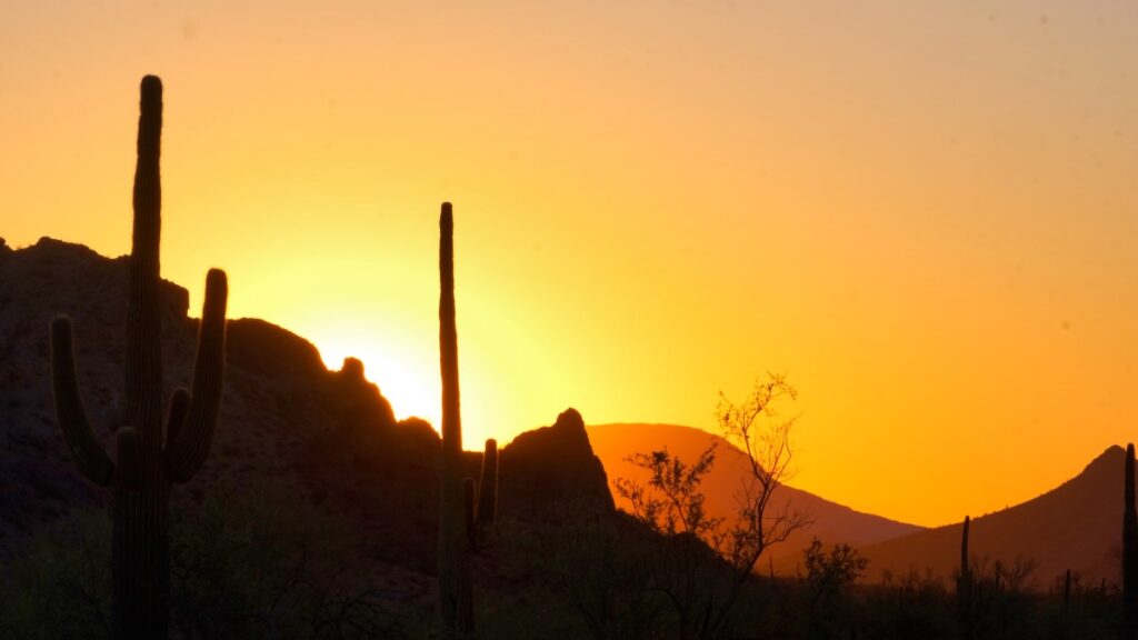 desert sunset Agua Caliente Road