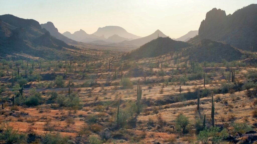 Agua Caliente Road desert landscape