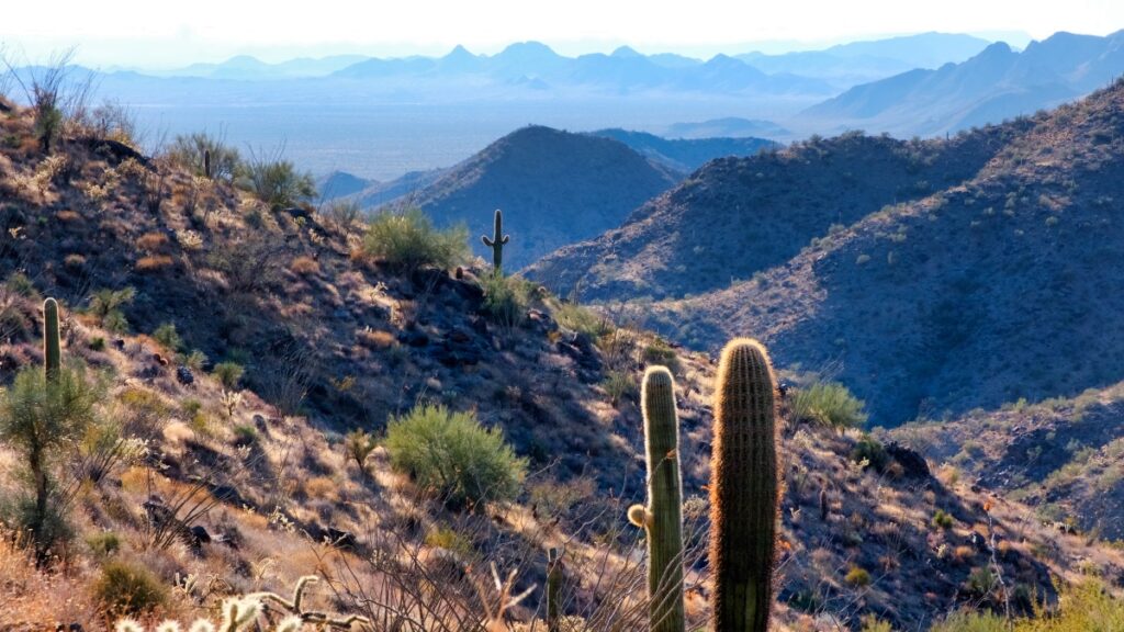 Mount Harquahala Sterling Noren and Eva Rupert 2021 desert landscape