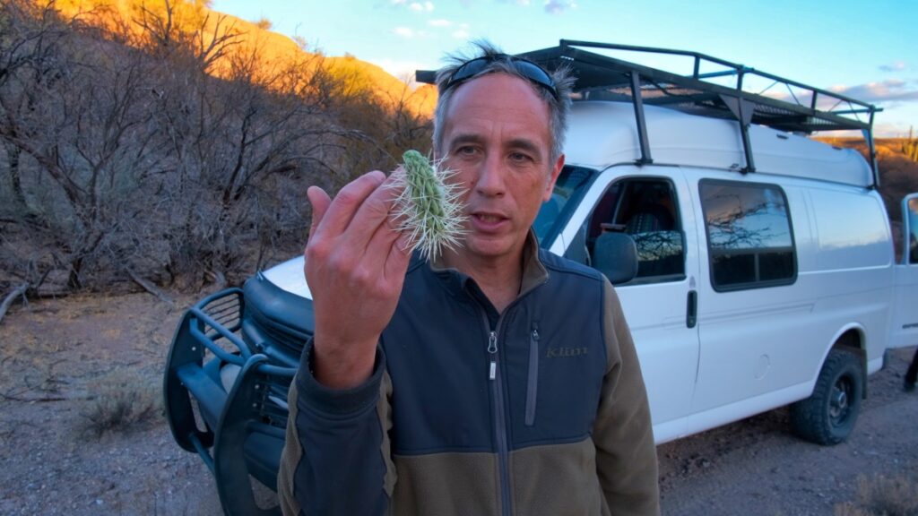 overland van camping Cascabel Road Arizona 2021 cactus stuck in hand Sterling Noren