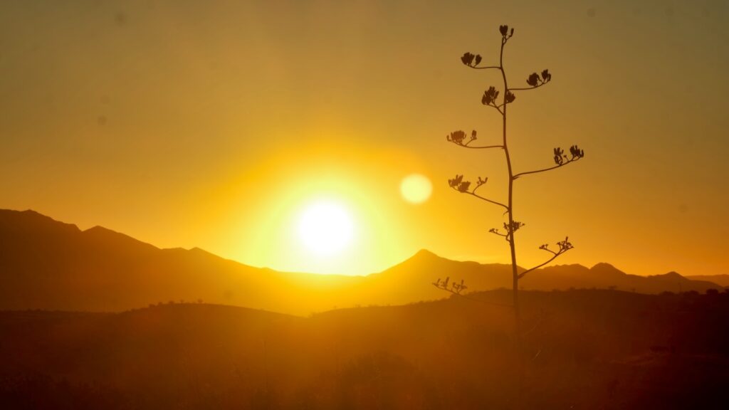 overland van camping Santa Rita mountains Arizona 2021 cactus sunrise