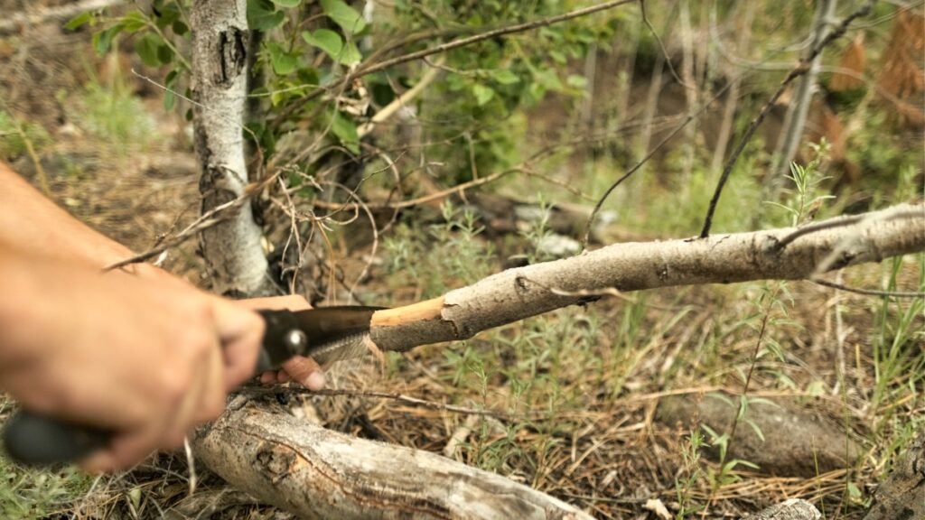 cutting wood with bushcraft saw