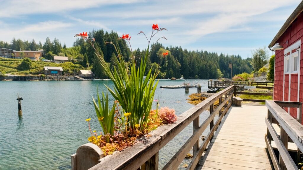 boardwalk in Bamfield, Canada