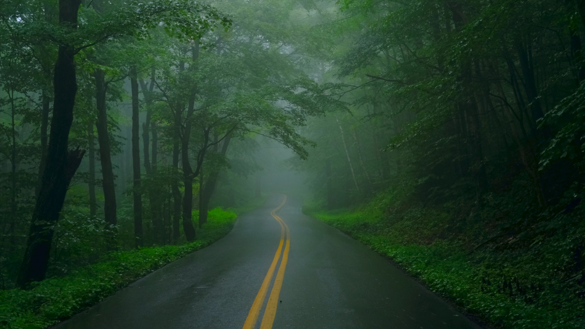 2019 | BMW GS | Northeast Backcountry Discovery Route