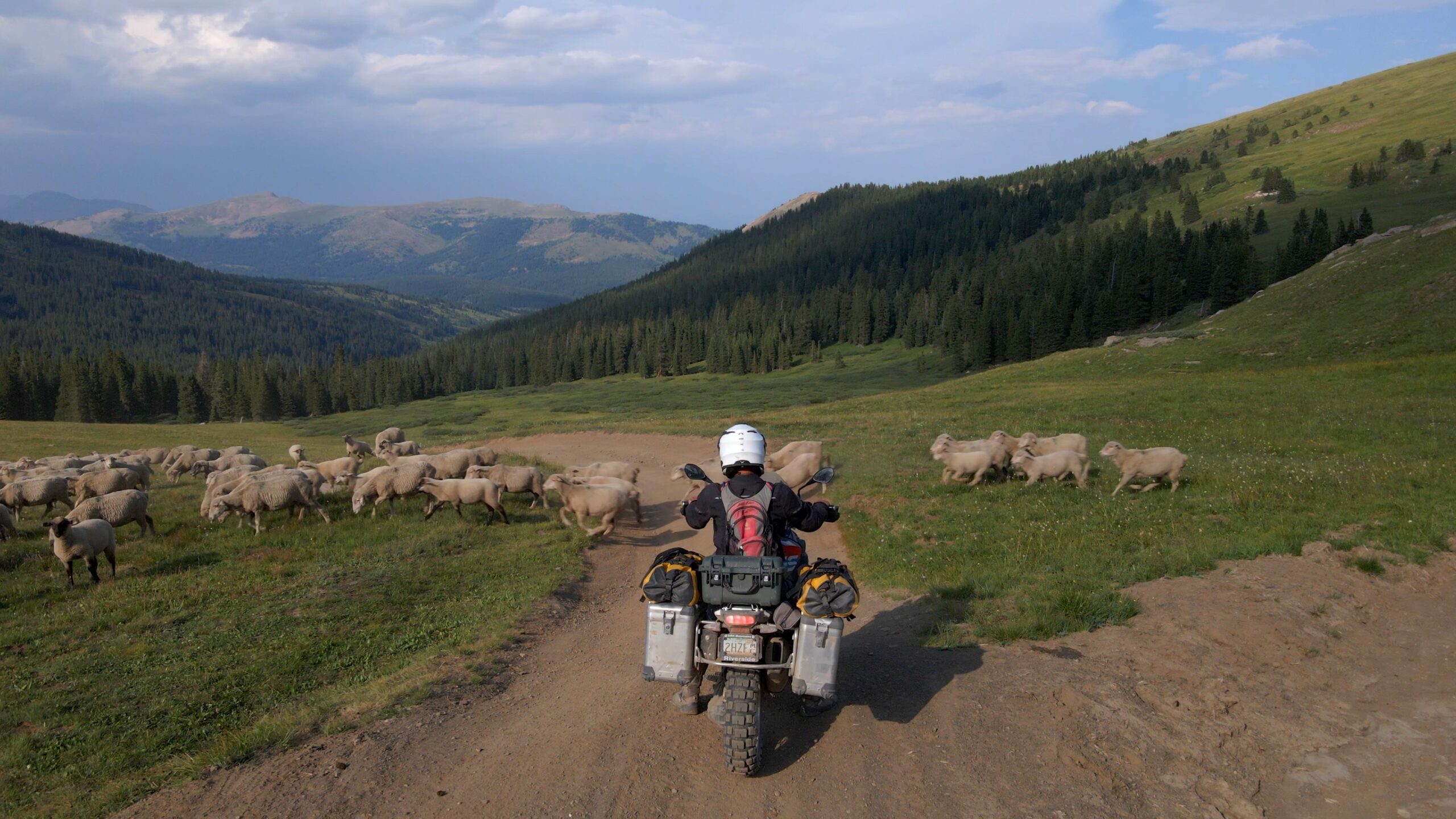 2021 | BMW GS | Riding Solo in Colorado